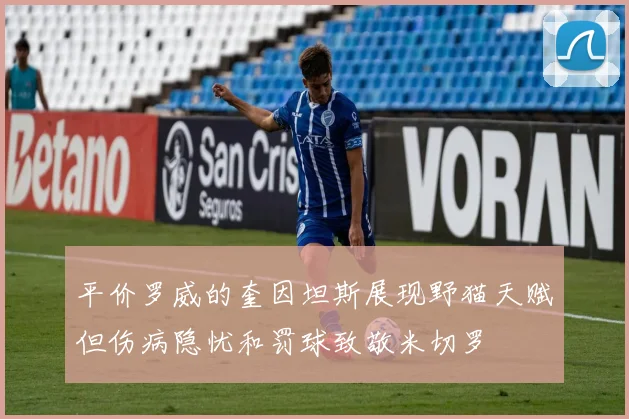 平价罗威的奎因坦斯展现野猫天赋但伤病隐忧和罚球致敬米切罗