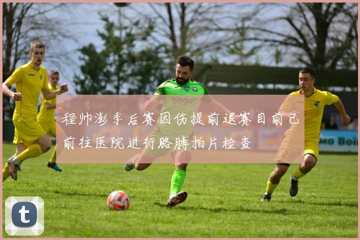 程帅澎季后赛因伤提前退赛目前已前往医院进行胳膊拍片检查